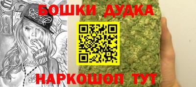 индика Бердск