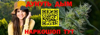 индика Бердск