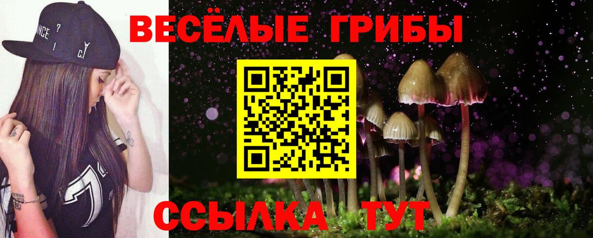 Псилоцибиновые грибы ЛСД  Вход с VPN  Ахтубинск  Галлюциногенные грибы MAGIC MUSHROOMS 