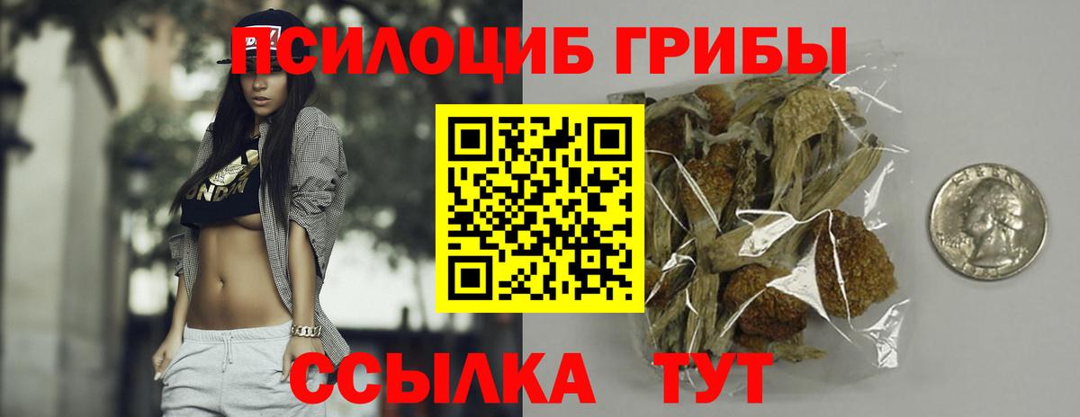 Галлюциногенные грибы GOLDEN TEACHER Ахтубинск
